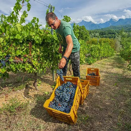 Il Bardellino Alloggio per agriturismo Fivizzano