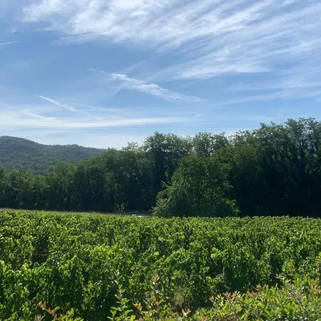 Il Bardellino Alloggio per agriturismo Fivizzano