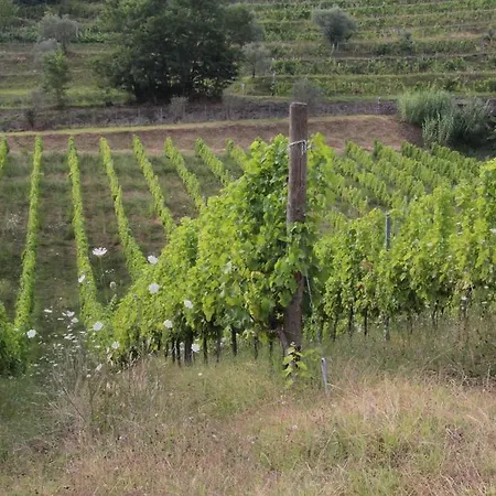 Il Bardellino Alloggio per agriturismo Fivizzano
