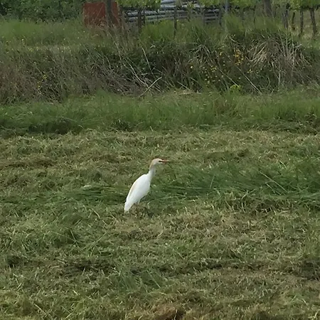 Agroturismo Il Bardellino Fivizzano